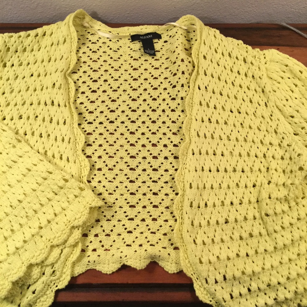 Alfani sweater